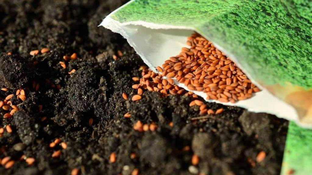 Subsidy will be given for demonstration plants seed distribution plant and soil conservation management of barley and wheat
